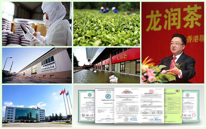云南龍潤茶業集團