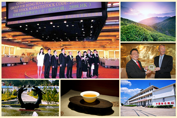 云南龍潤茶業集團